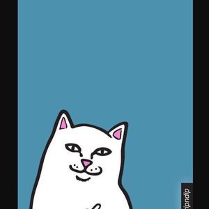 Meet your Posher, Ricky